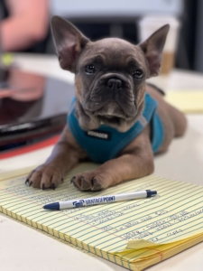 VantagePoint Marketing - Office dog pepper with VantagePoint pen